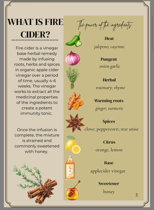 Complete Fire Cider recipe guide PDF